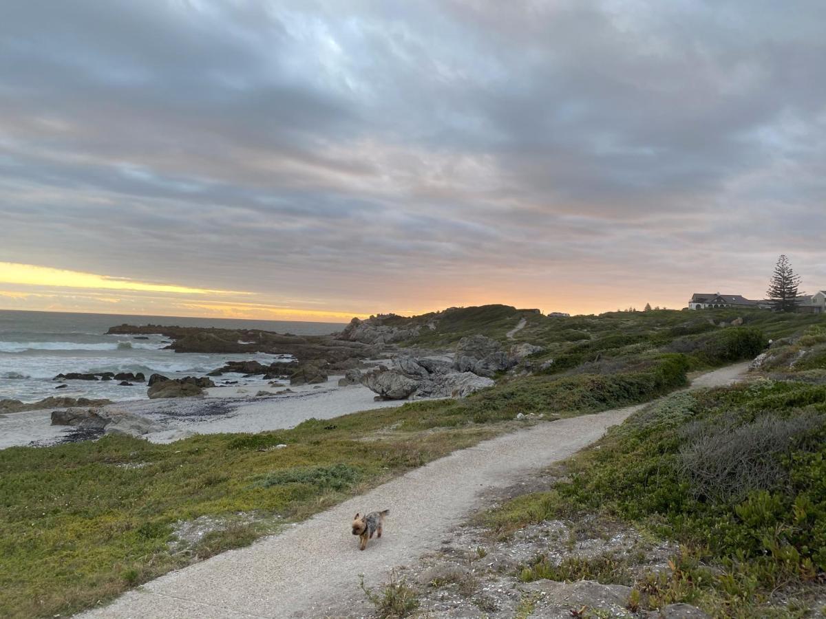 Hermanus 60 On Flat Eksteriør billede